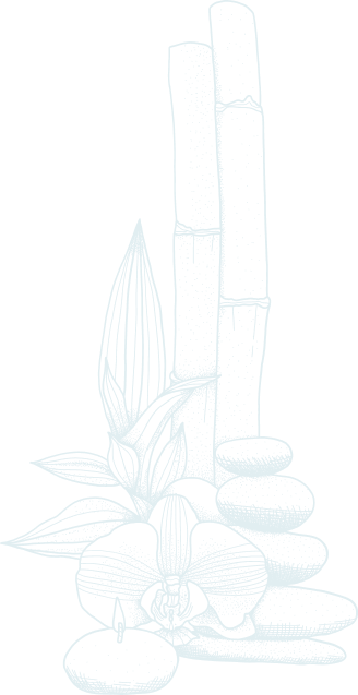 shape
